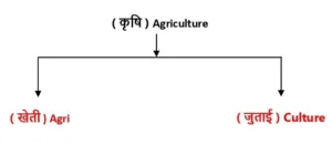 bihar board class 9 history ch 8 pdf notes | krishi or khetihaar smaj solutions