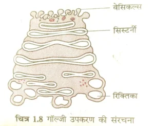 Bihar Board class 9th ch 1 biology जीवन की मौलिक इकाई